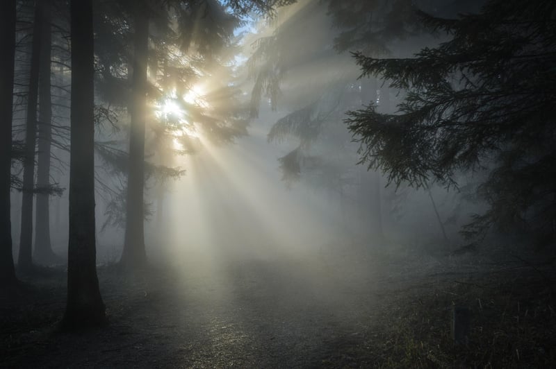 Morning Tai Chi Image